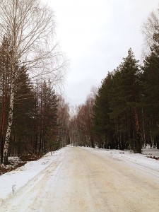 Дорога в Ясную Поляну
